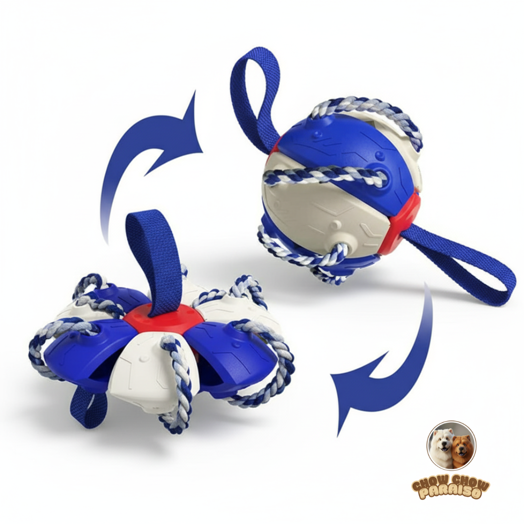 GIO1 - Juguete Frisbee-Bola Mágica para Perros 🐶✨ ¡Diversión sin límites!-chow-chow-paraiso