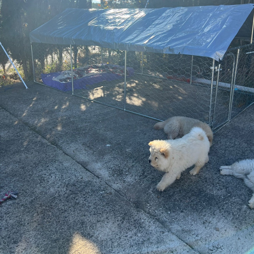 J2-🏡🐶 Jaula XL Chow Chow Paraíso: Refugio Amplio, Resistente y Seguro para tu Perro