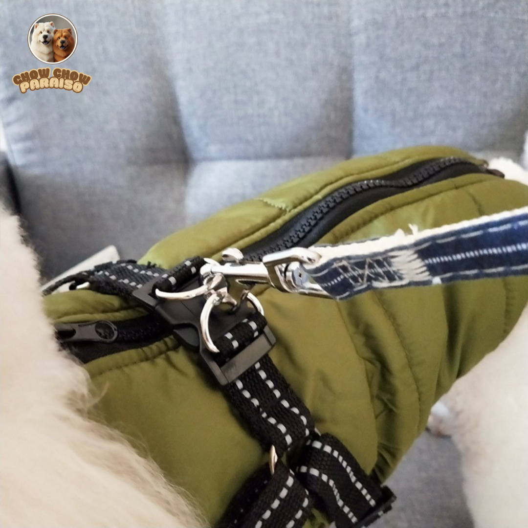 V1_-_Abrigo_Impermeable_y_Calido_para_Perros_Grandes_f-chow-chow-paraiso