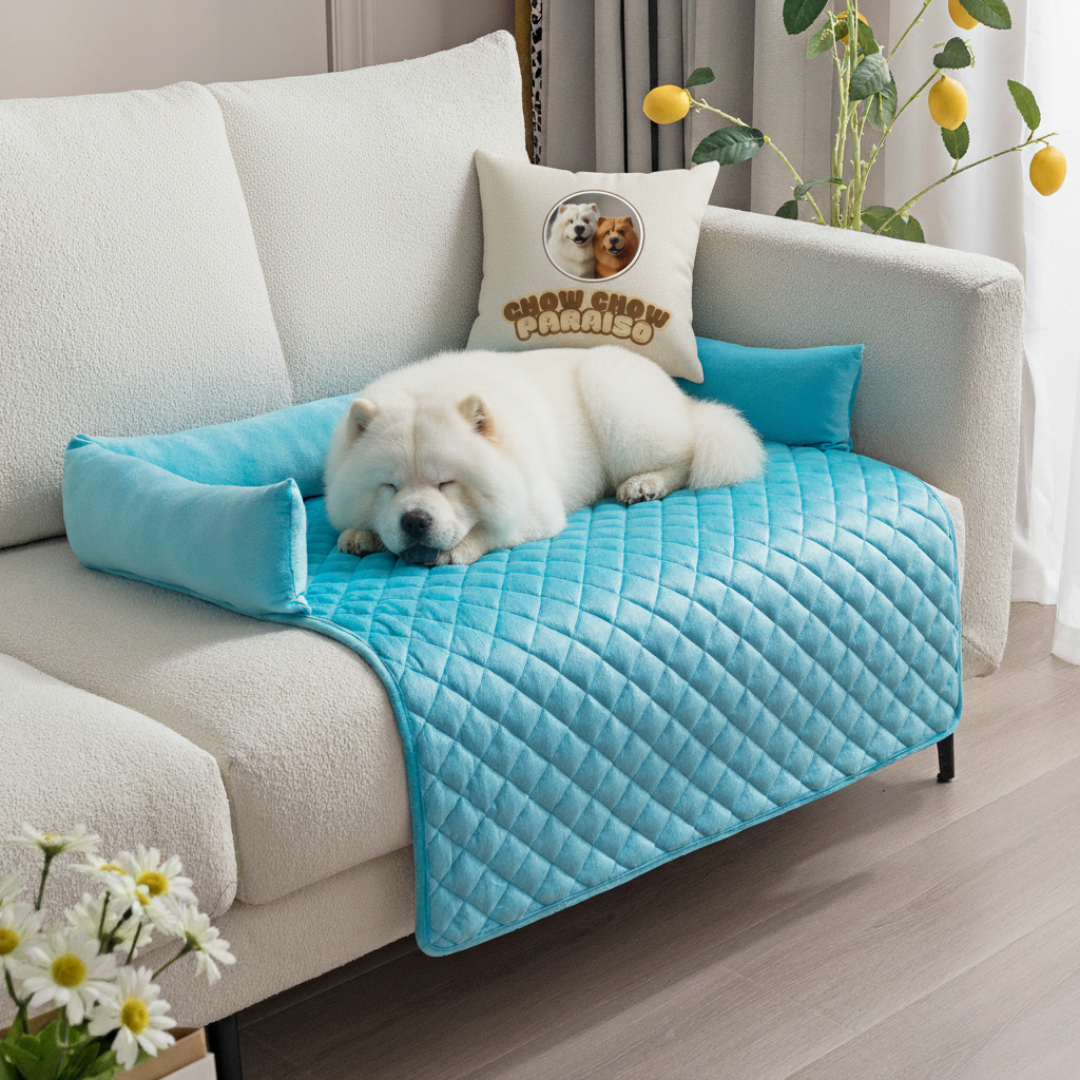 protector-de-sofa-cama-para-perros-gatos--mascotas-lavable-hogar-pet-friendly-grande-azul