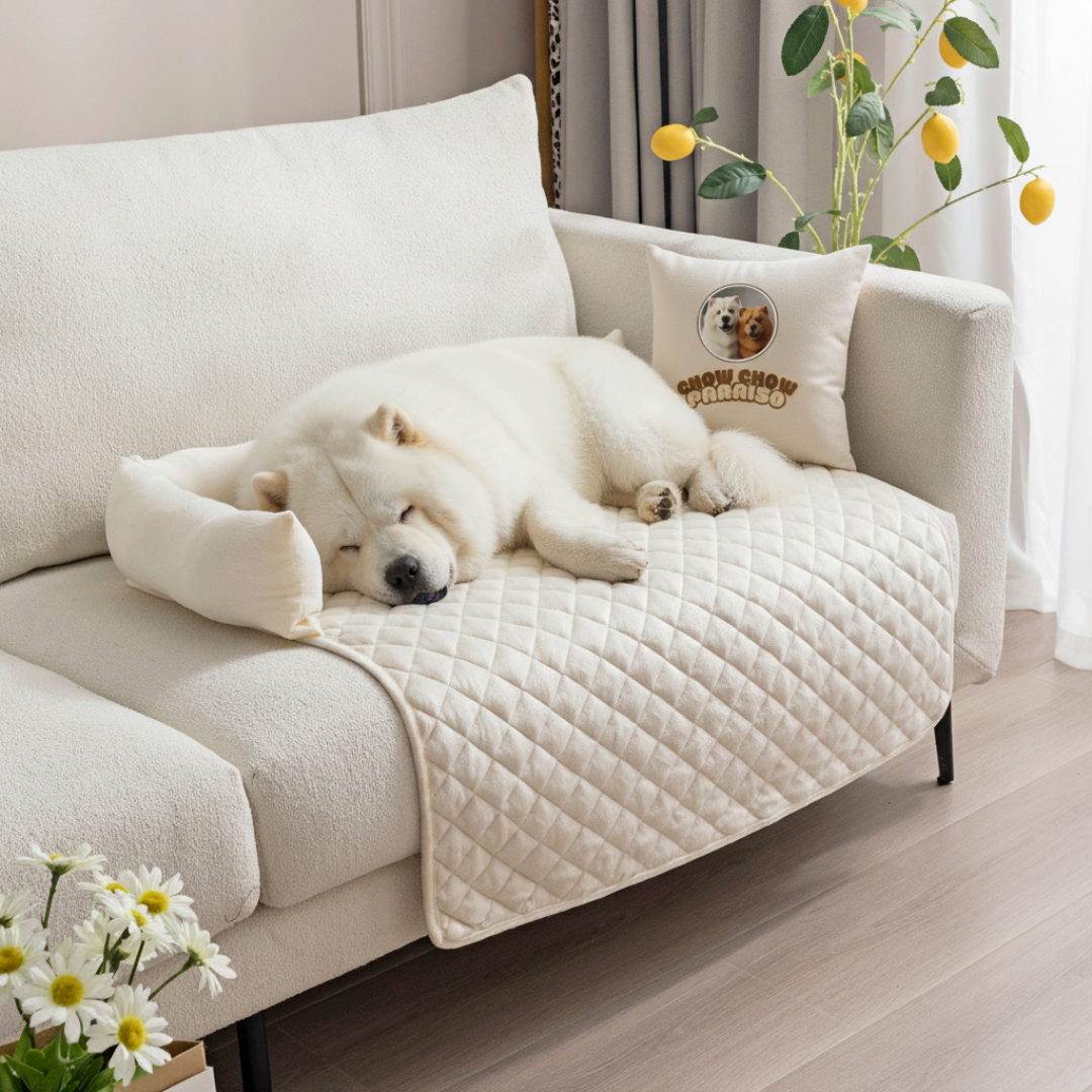protector-de-sofa-cama-para-perros-gatos--mascotas-lavable-hogar-pet-friendly-grande-blanco