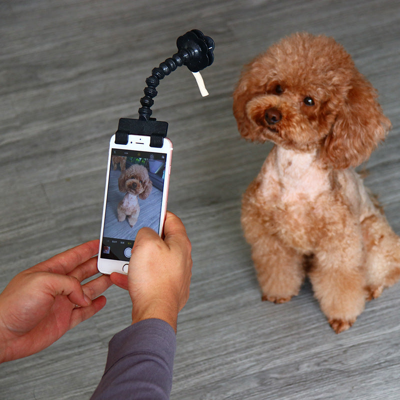Soporte  para Selfis con Perros