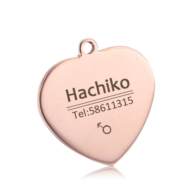 Placa de Identidad de Acero Inoxidable Personalizable para Perros