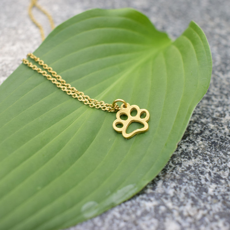 Collar de Clavícula con Huella de Mascota en Acero de Titanio