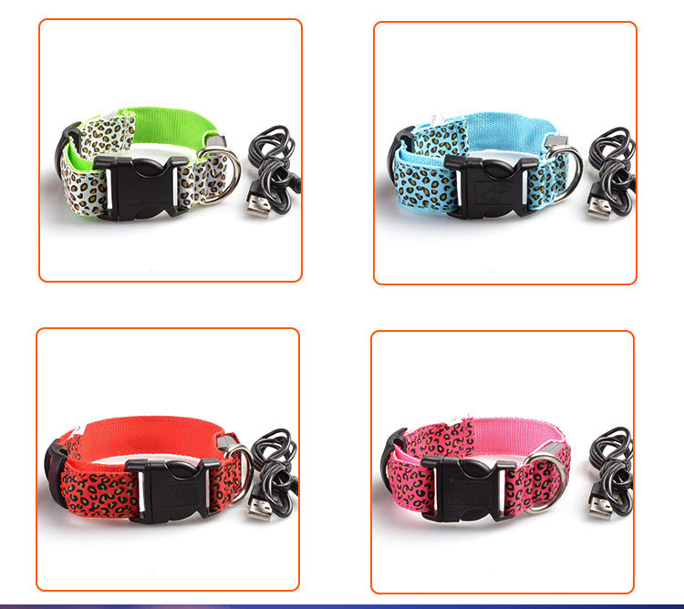 Collar de Seguridad LED recargable