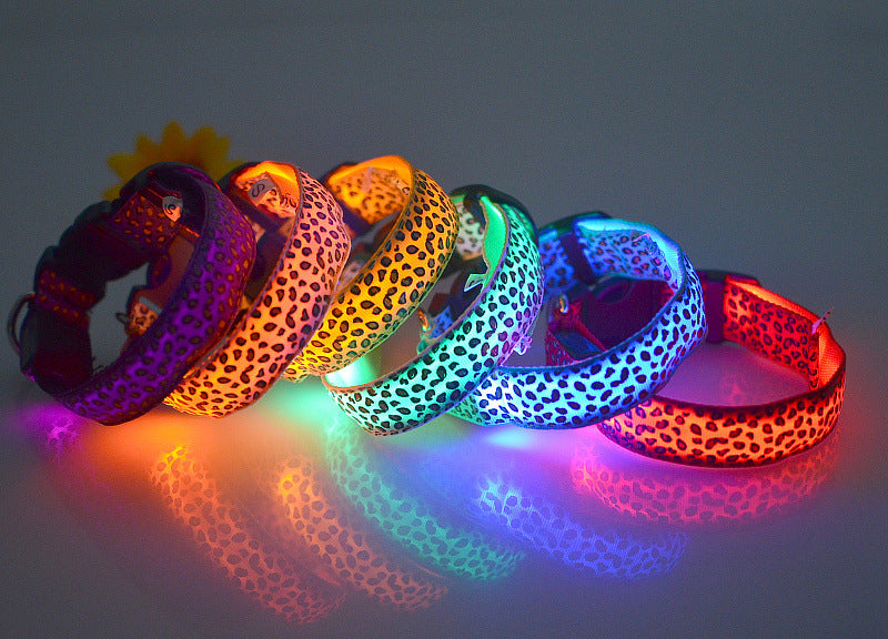 Collar de Seguridad LED recargable