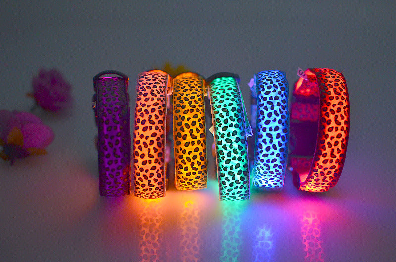 Collar de Seguridad LED recargable