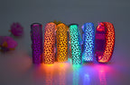 Collar de Seguridad LED recargable