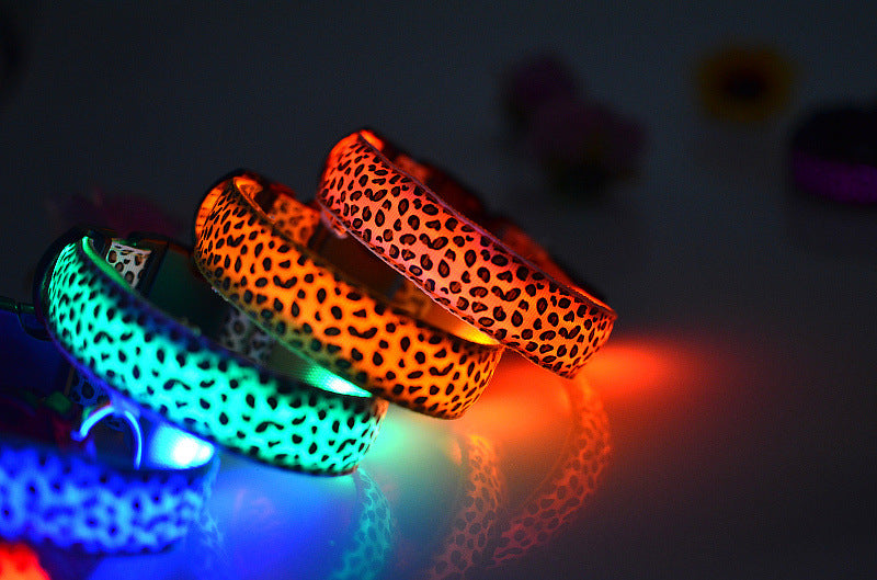 Collar de Seguridad LED recargable