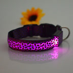 Collar de Seguridad LED recargable