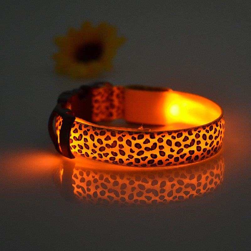Collar de Seguridad LED recargable