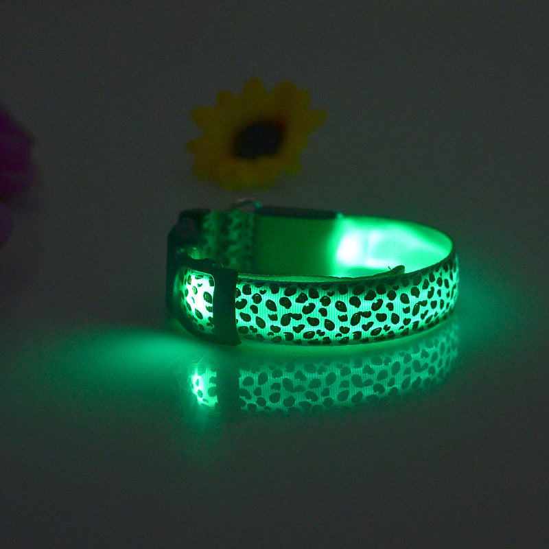 Collar de Seguridad LED recargable