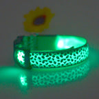 Collar de Seguridad LED recargable