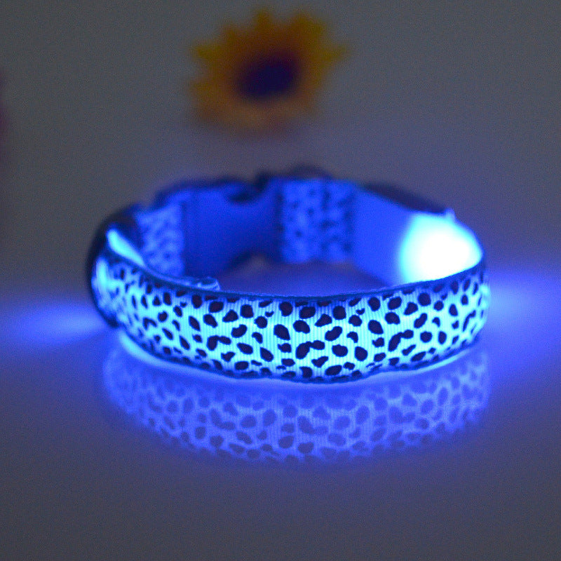 Collar de Seguridad LED recargable