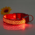 Collar de Seguridad LED recargable