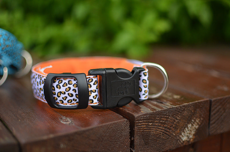 Collar de Seguridad LED recargable