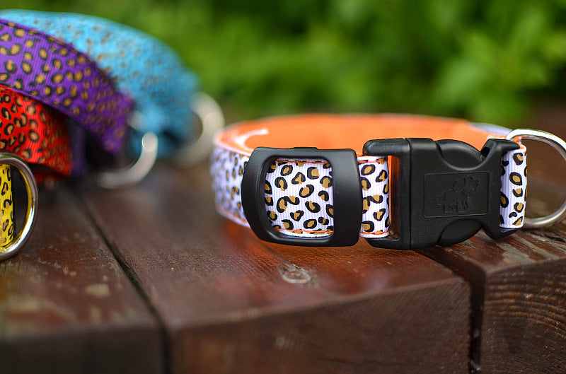 Collar de Seguridad LED recargable