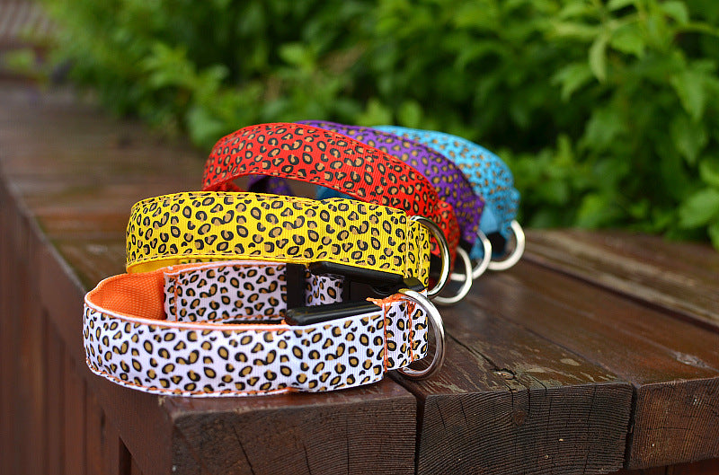 Collar de Seguridad LED recargable
