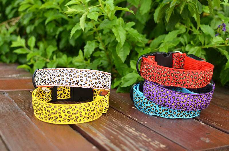Collar de Seguridad LED recargable