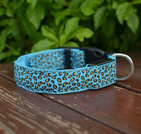 Collar de Seguridad LED recargable