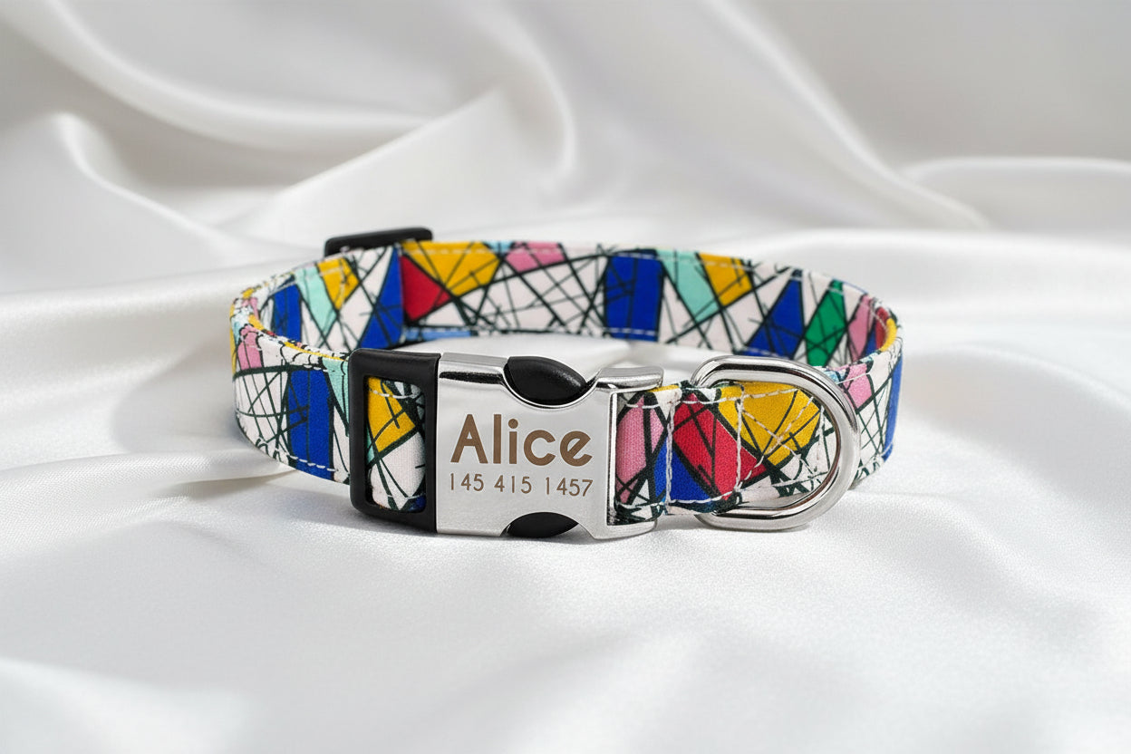 Collar de Nylon "Identidad Segura" Personalizado