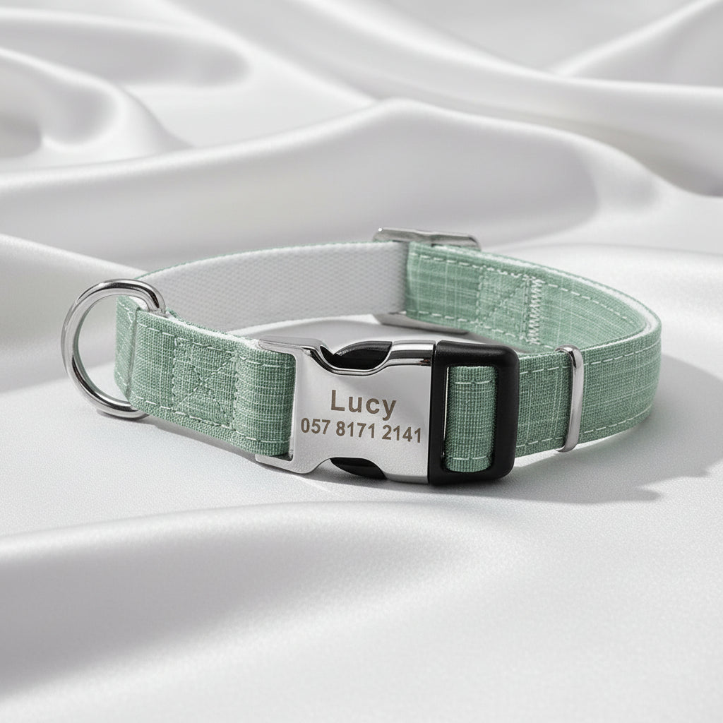 Collar de Nylon "Identidad Segura" Personalizado