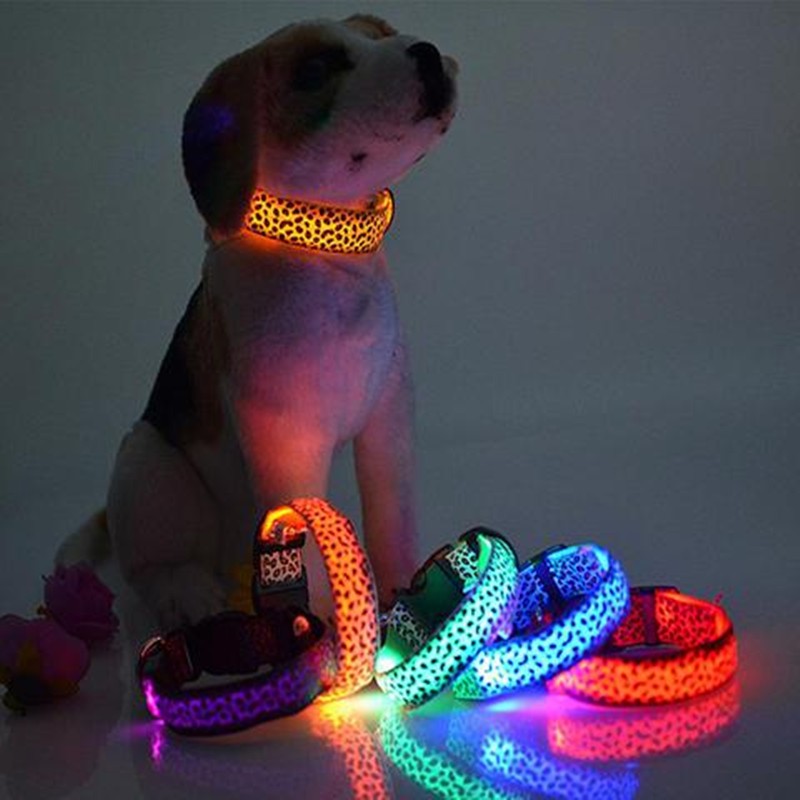 Collar de Seguridad LED recargable