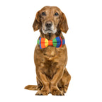 Collar con Pajarita "Arcoíris Vibrante" para Perros