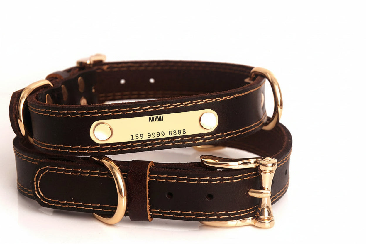 Collar de Cuero Genuino Personalizable con Placa de Identificación