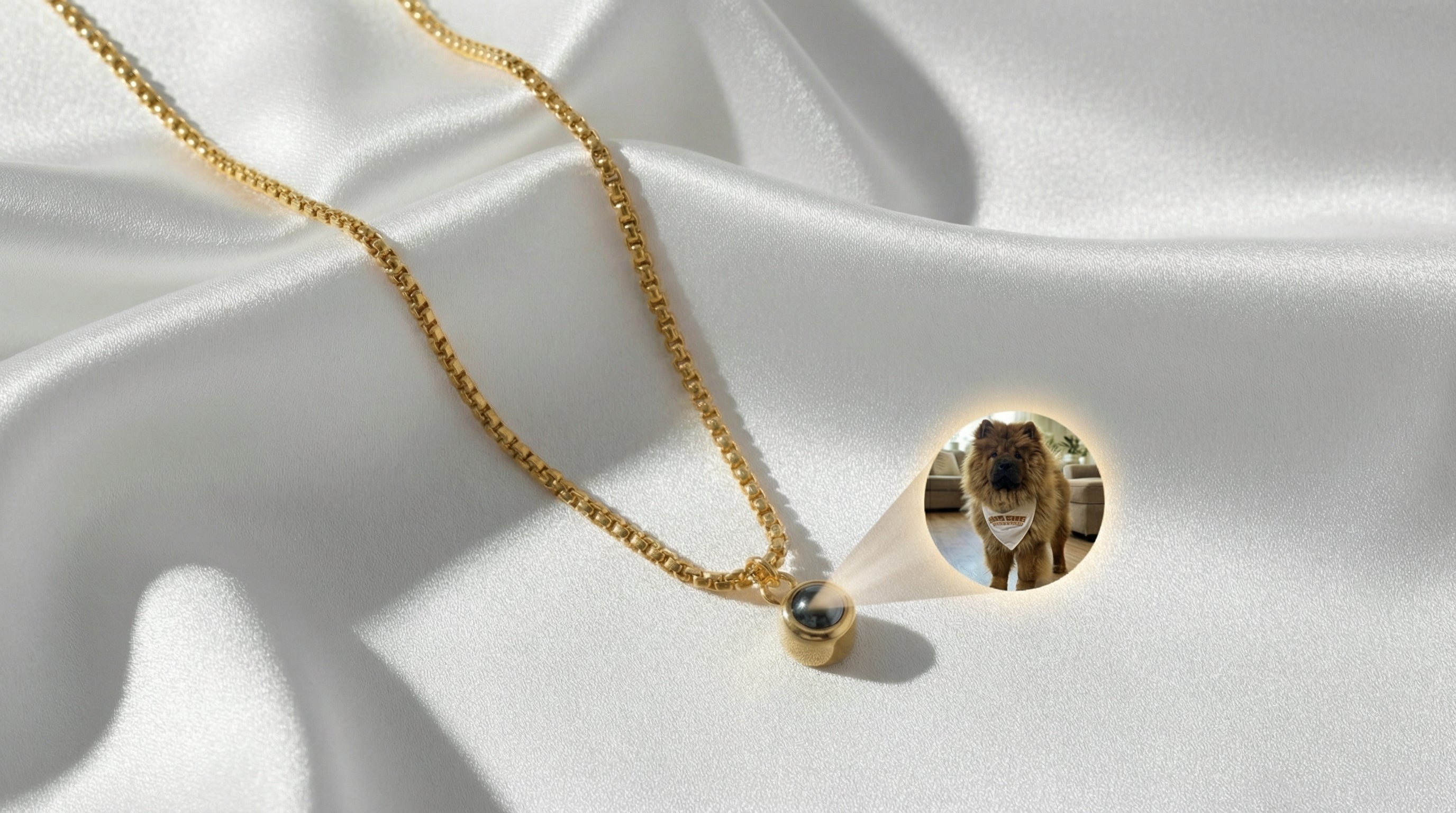 Collar con Proyección de Foto - Personalizable