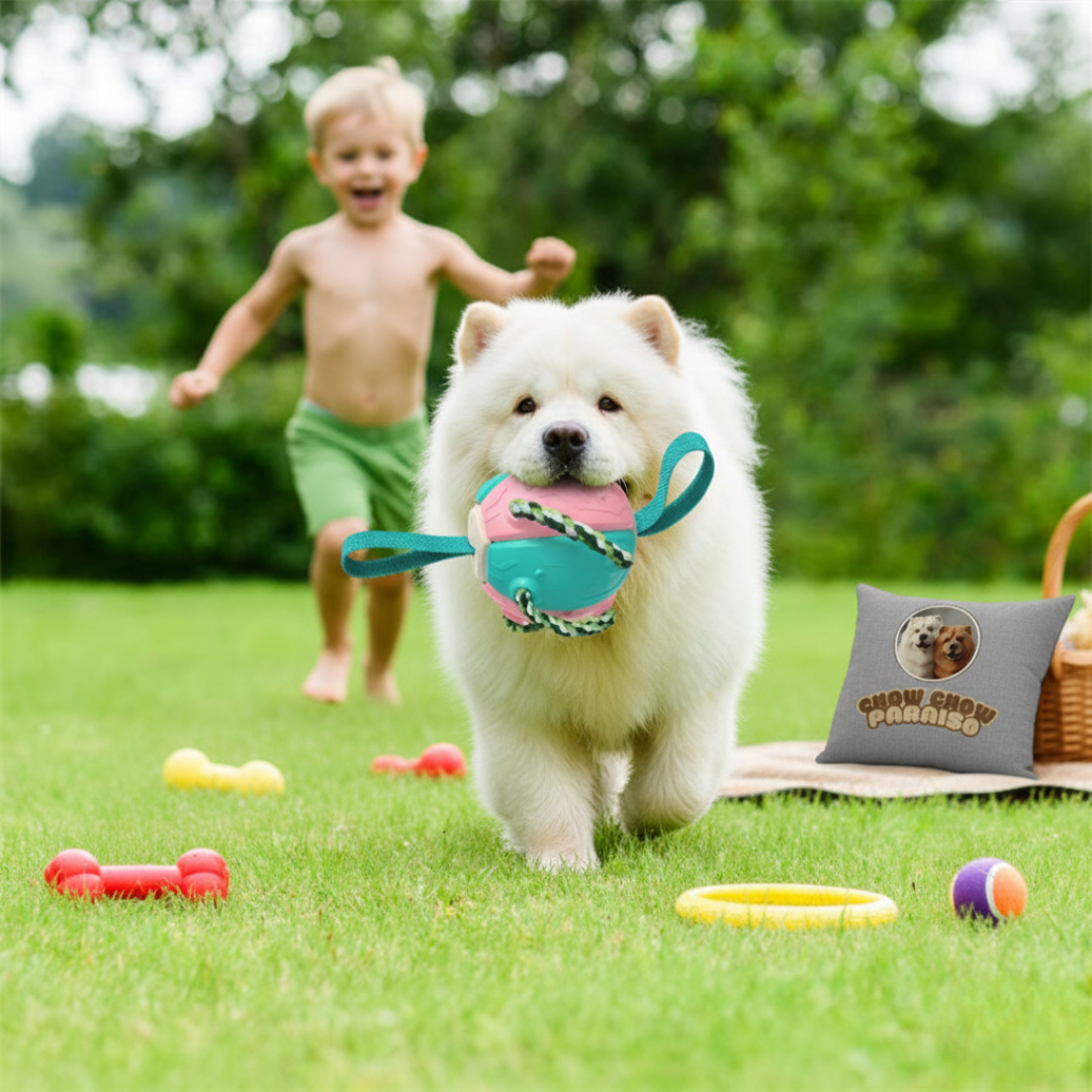 GIO1 - Juguete Frisbee-Bola Mágica para Perros 🐶✨ ¡Diversión sin límites!-chow-chow-paraiso