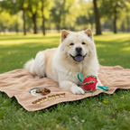 GIO1 - Juguete Frisbee-Bola Mágica para Perros 🐶✨ ¡Diversión sin límites!-chow-chow-paraiso