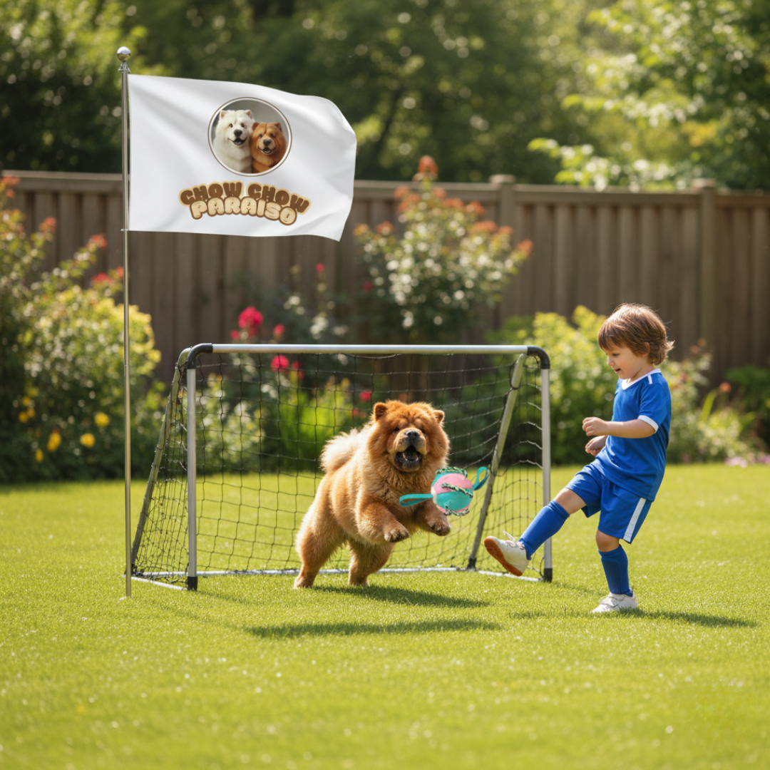 GIO1 - Juguete Frisbee-Bola Mágica para Perros 🐶✨ ¡Diversión sin límites!-chow-chow-paraiso