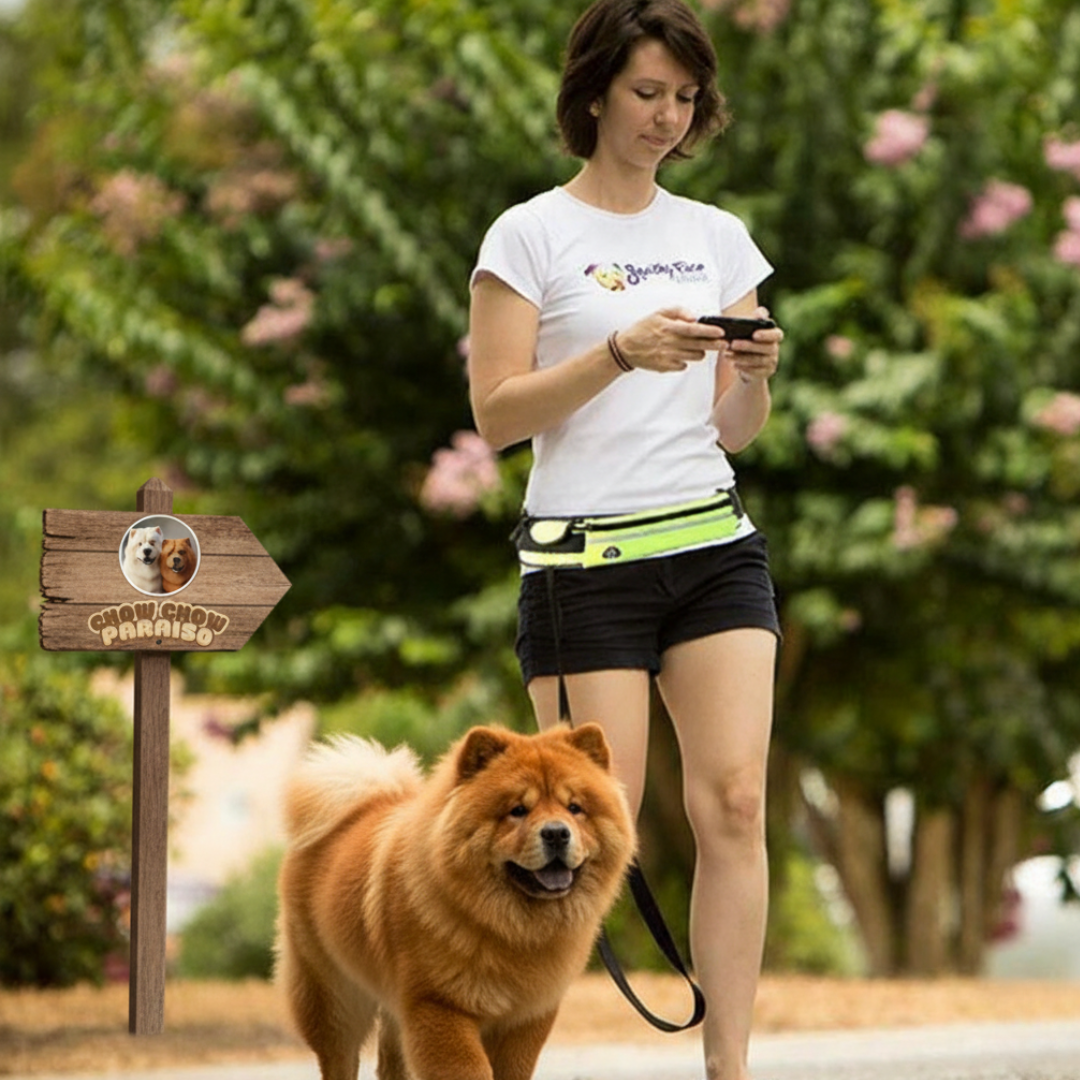 G2 -🐶 Cinturón Manos Libres con Correa Elástica para Perros Grandes 🐾 | Ideal para Pasear, Correr, Entrenar y Aventuras Diarias con Comodidad Total 🌟 Chow Chow paraíso 