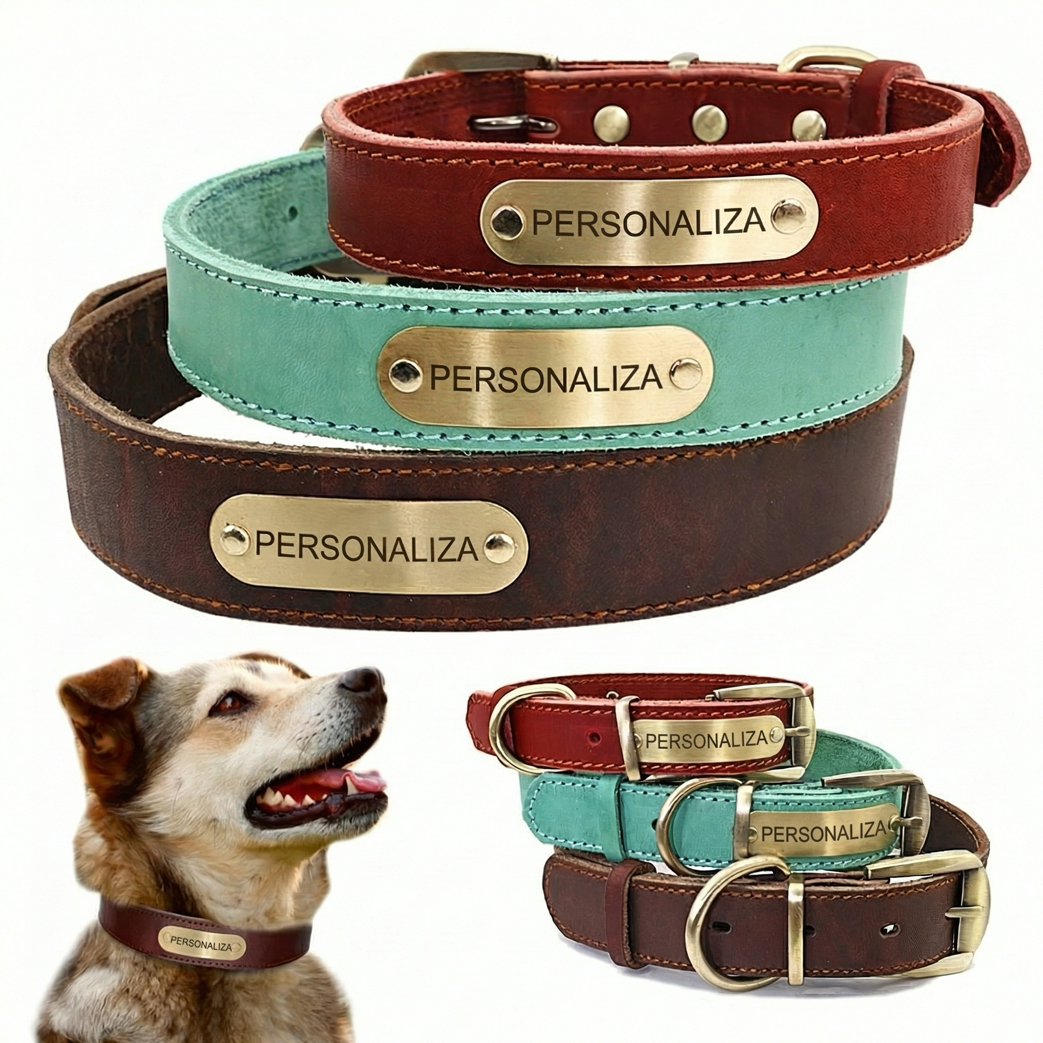 Collar de Cuero  con Placa de Identificación Dorada Personalizable