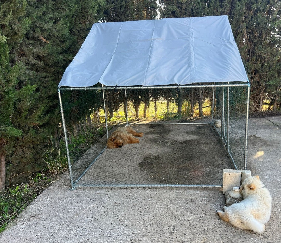 J3-🏡🐕 Jaula Premium XXL Chow Chow Paraíso: Seguridad, Resistencia y Comodidad para tu Mejor Amigo ✨ 