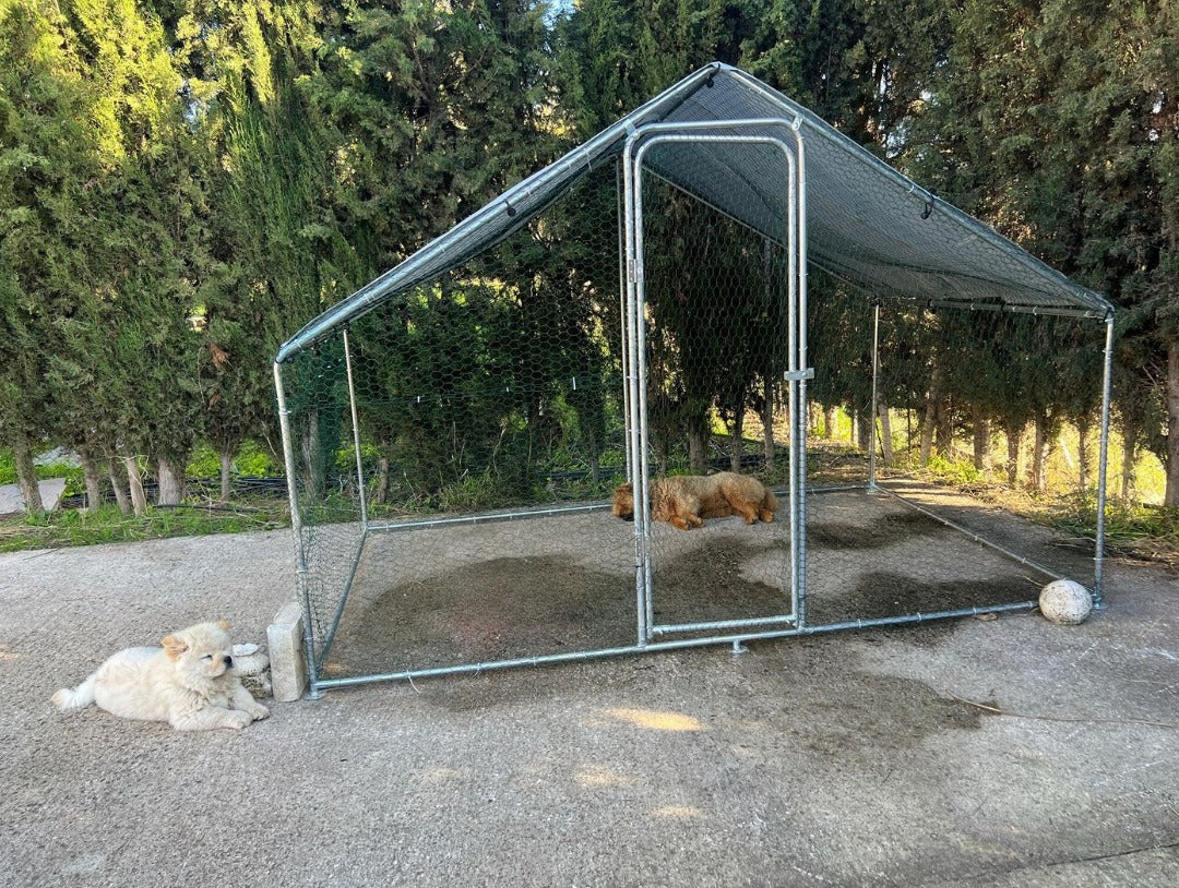 J3-🏡🐕 Jaula Premium XXL Chow Chow Paraíso: Seguridad, Resistencia y Comodidad para tu Mejor Amigo ✨