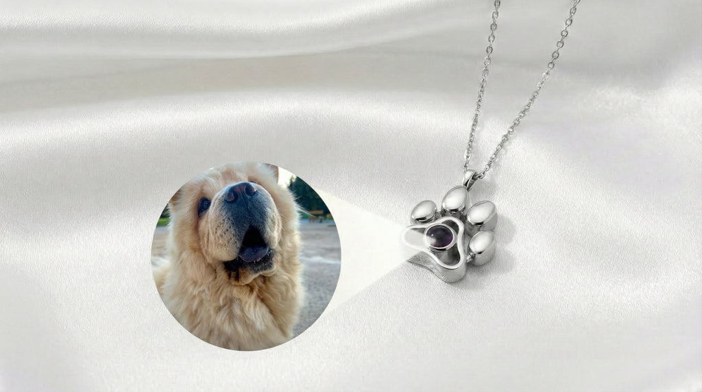 Collar y/o LLavero  de Proyección Personalizado con Huella de Perro y Fotografía