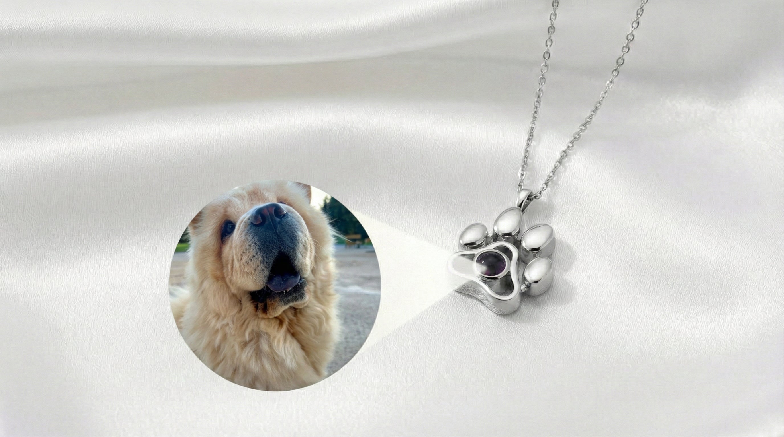 Collar y/o LLavero  de Proyección Personalizado con Huella de Perro y Fotografía