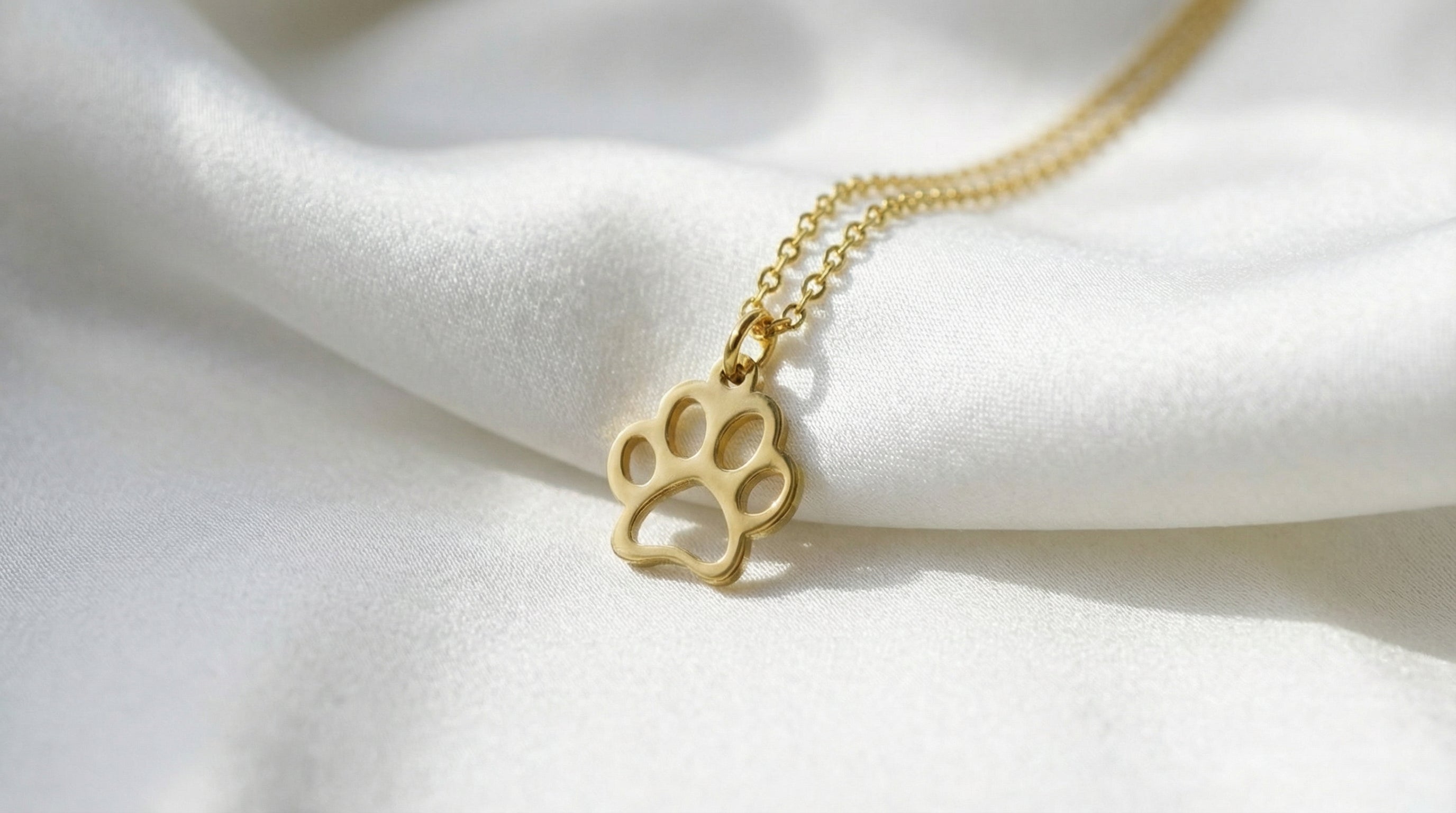 Collar de Clavícula con Huella de Mascota en Acero de Titanio