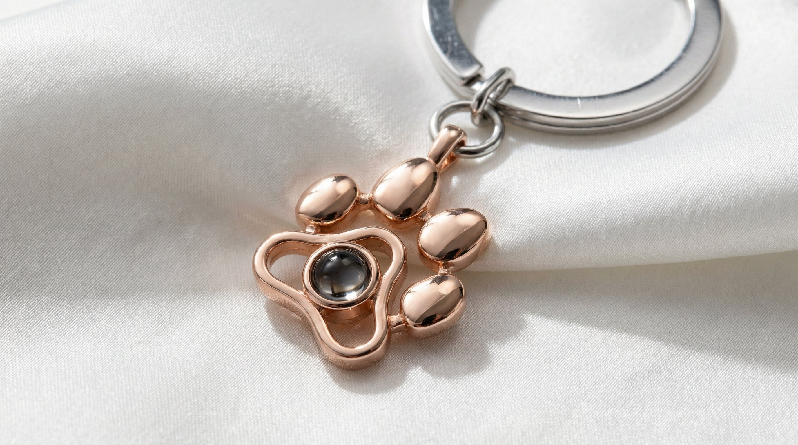 Collar y/o LLavero  de Proyección Personalizado con Huella de Perro y Fotografía