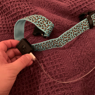 Collar de Seguridad LED recargable