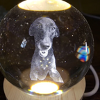 Esfera de Cristal "Luz de Lealtad" - Personalizable