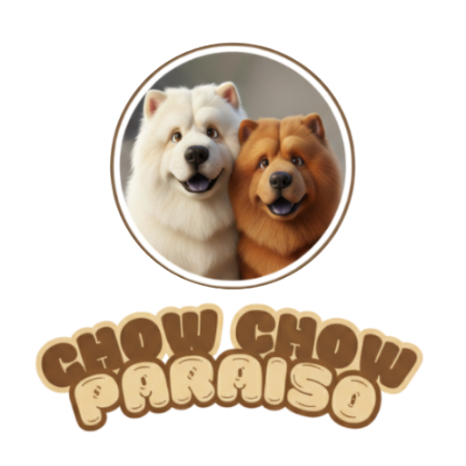 logotipo chow chow paraiso espana cachorros e perros de chow chow disponibles 