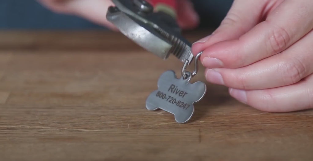 Placa de Identidad de Acero Inoxidable Personalizable para Perros