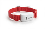 Localizador GPS G4 para perros con rastreo en tiempo real