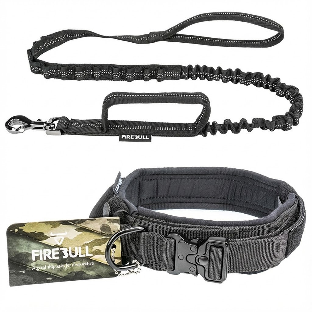 Collar y correa táctica de nylon para perros con ajuste regulable