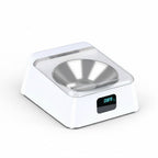 Comedero automático sellado para perros con sistema de conservación del alimento